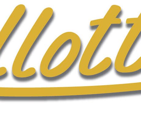 Bellotta premium cat food brand in Bangladesh – imported wet cat food available at Adure Pet Mart BD