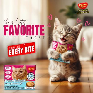 Kitchen Flavor Pâté Delight Wet Cat Food with Salmon & Chicken 90gm for cats in Bangladesh