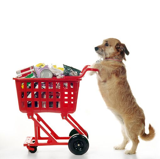 Dog Food