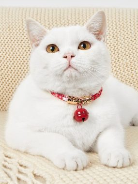 adjustable cat collar with bell safety neck belt for kittens and cats Bangladesh